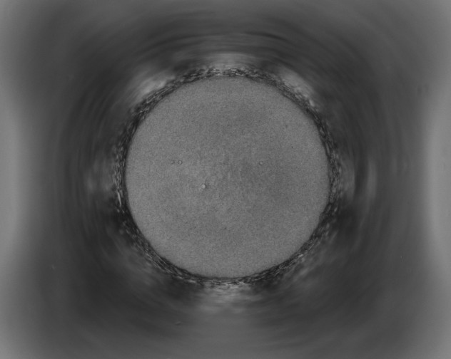 X0000082930824200703020103