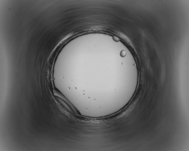 X0000082930827200703020103