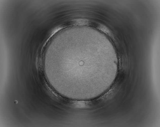 X0000082930828200703020103