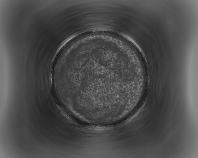 X0000082930829200703020103