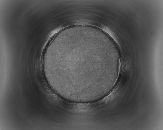 X0000082930832200703020103