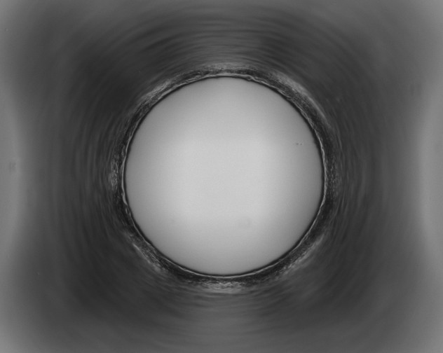 X0000082930833200703020103