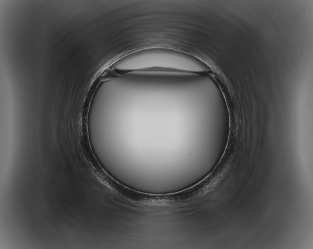X0000082930834200703020103