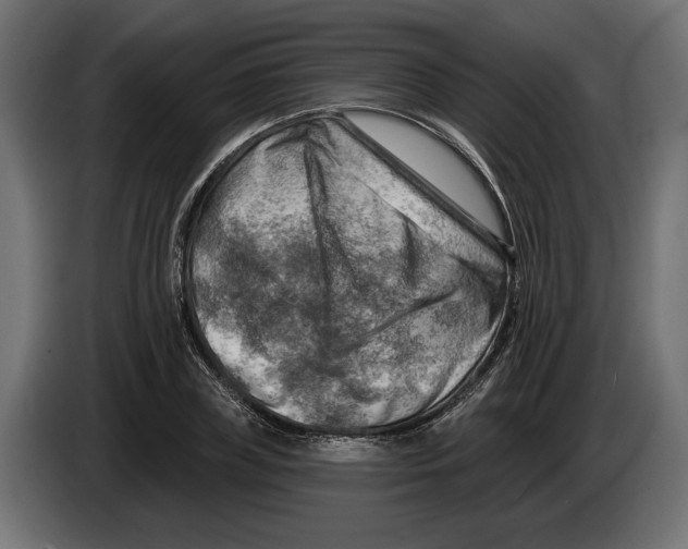 X0000082930835200703020103