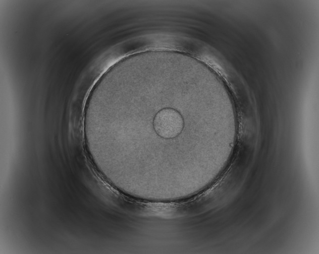 X0000082930836200703020103