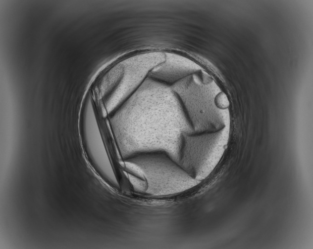 X0000082930839200703020103
