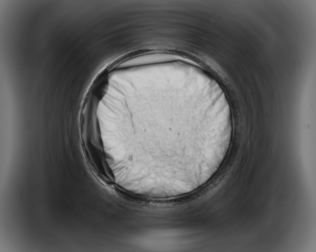 X0000082930840200703020103