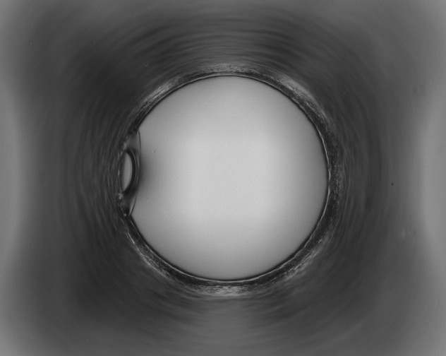 X0000082930841200703020103