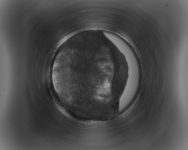 X0000082930842200703020104