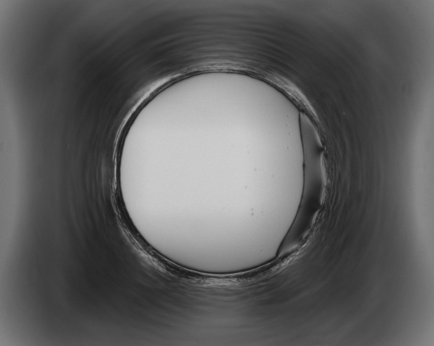 X0000082930844200703020104
