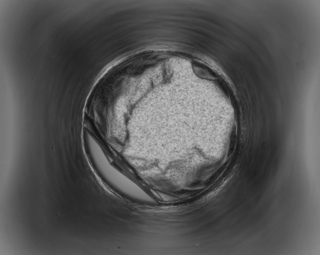 X0000082930845200703020104