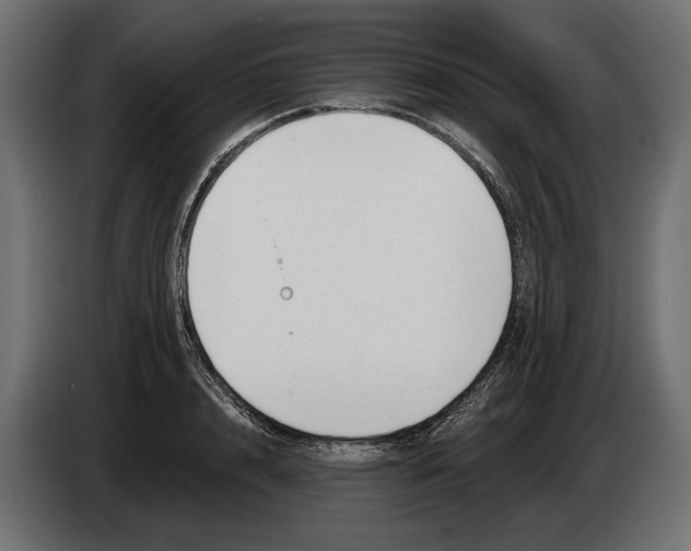 X0000082930848200703020104