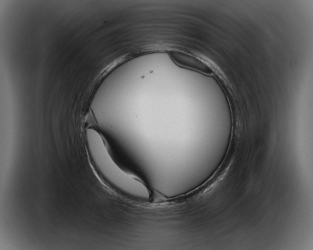 X0000082930849200703020104