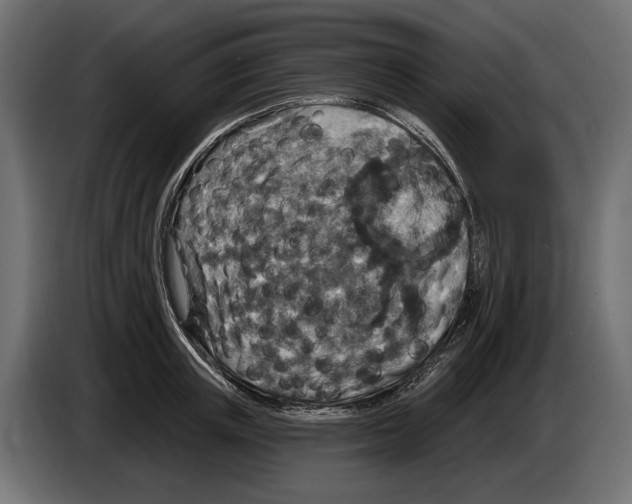 X0000082930851200703020104