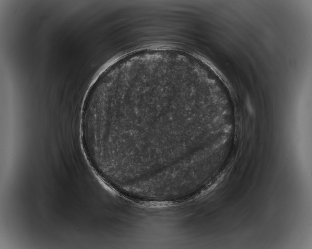 X0000082930853200703020104
