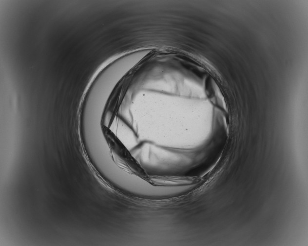 X0000082930854200703020104