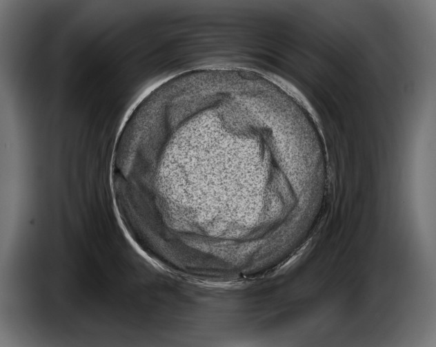 X0000082930855200703020104