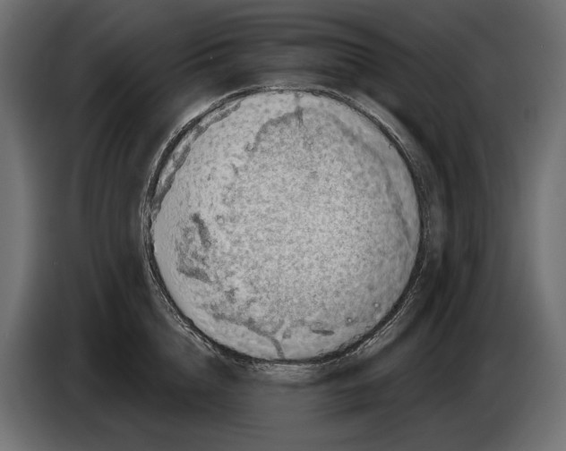 X0000082930856200703020104