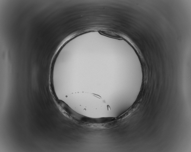 X0000082930861200703020104