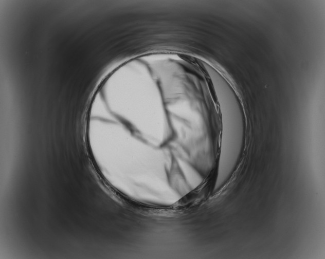 X0000082930862200703020104