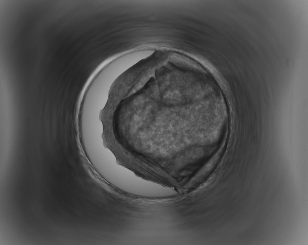 X0000082930864200703020104