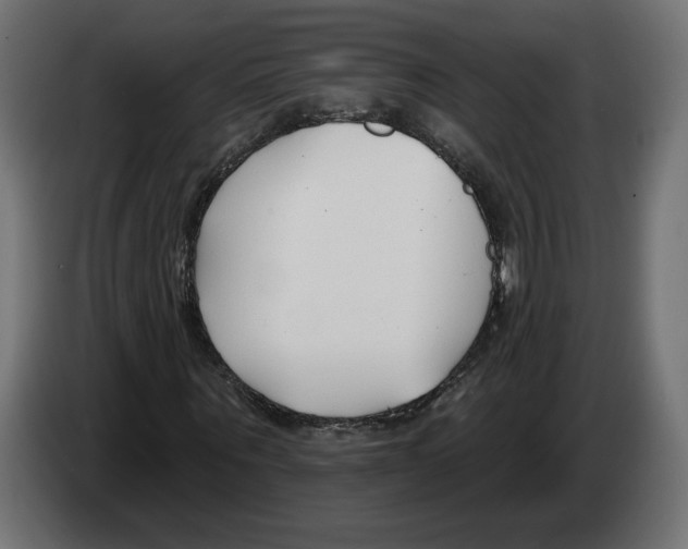X0000082930867200703020103