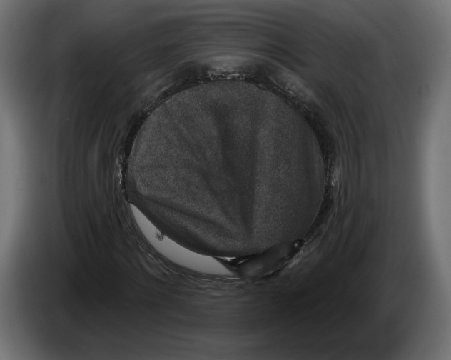 X0000082930868200703020103