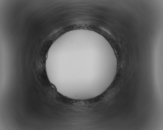 X0000082930869200703020103
