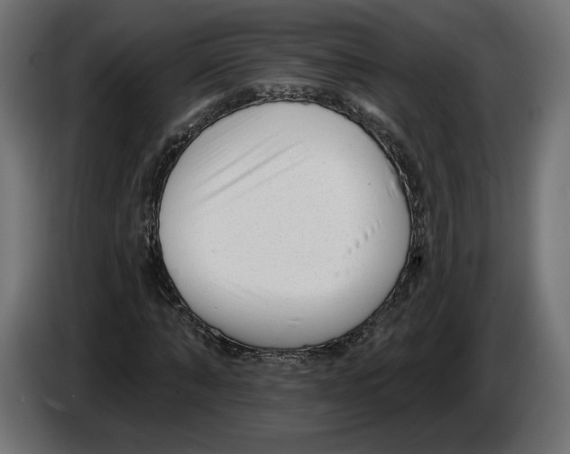 X0000082930870200703020103
