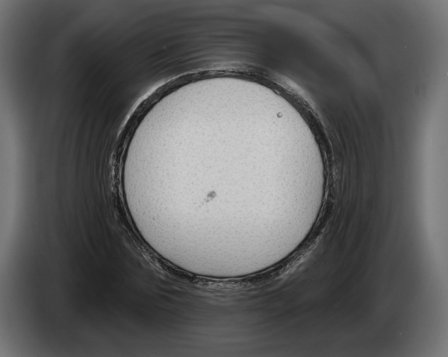 X0000082930875200703020103