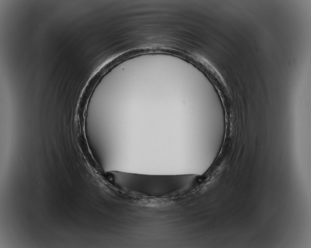 X0000082930876200703020103