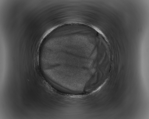 X0000082930877200703020103