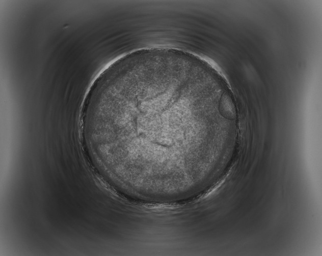 X0000082930879200703020103