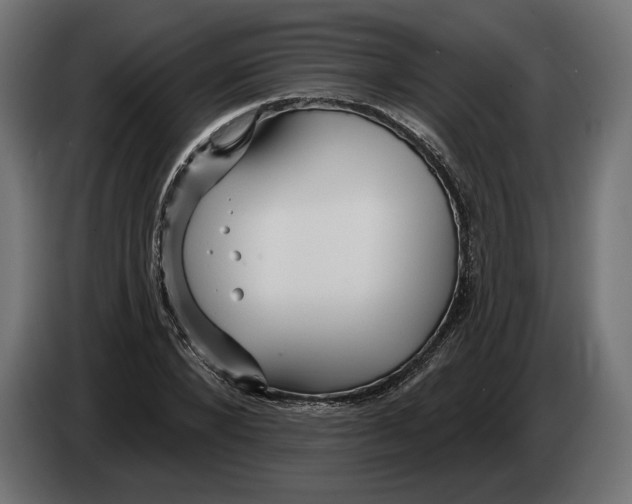 X0000082930880200703020103