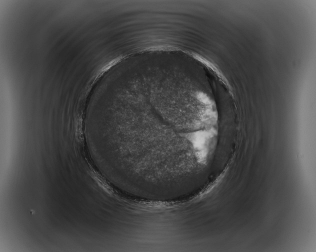 X0000082930881200703020103