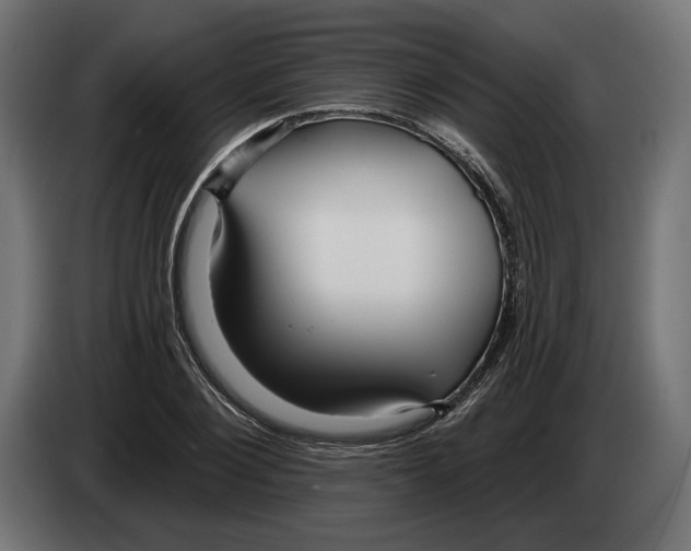 X0000082930884200703020103