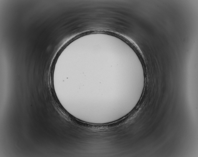X0000082930887200703020103