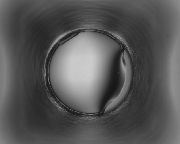 X0000082930888200703020103