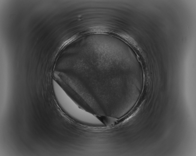 X0000082930889200703020103