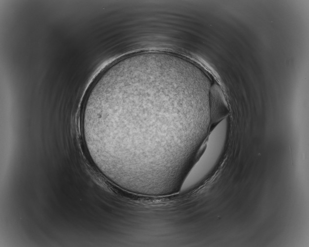 X0000082930891200703020103