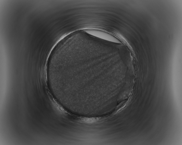 X0000082930892200703020103