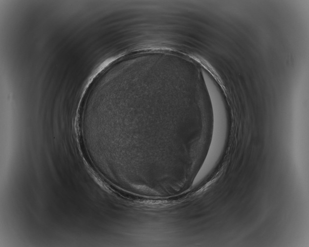 X0000082930893200703020103
