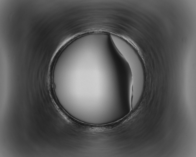 X0000082930894200703020103