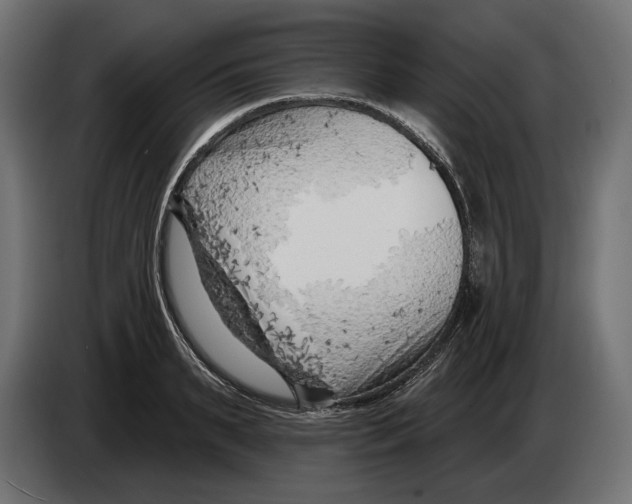 X0000082930895200703020103