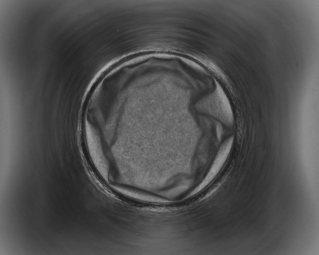 X0000082930896200703020103