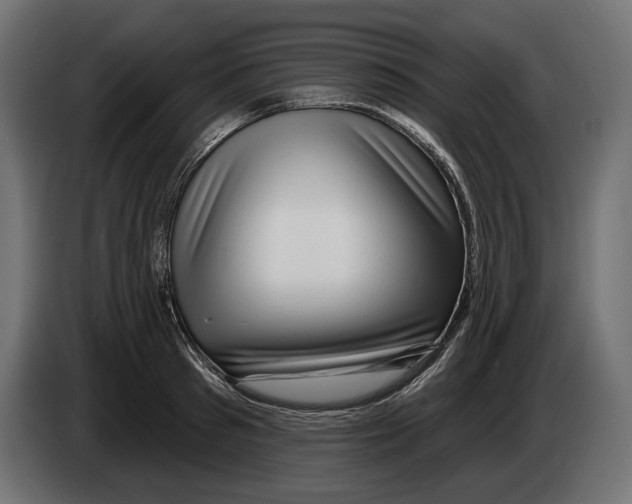 X0000082930897200703020103