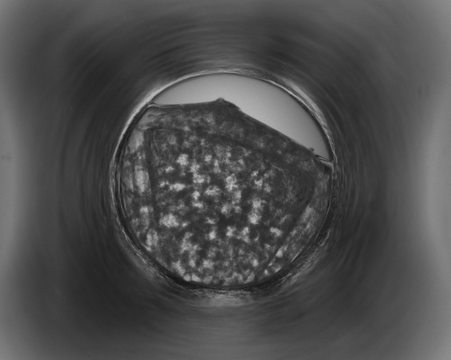 X0000082930899200703020103