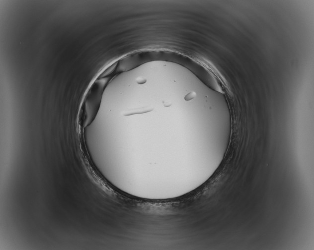 X0000082930900200703020103