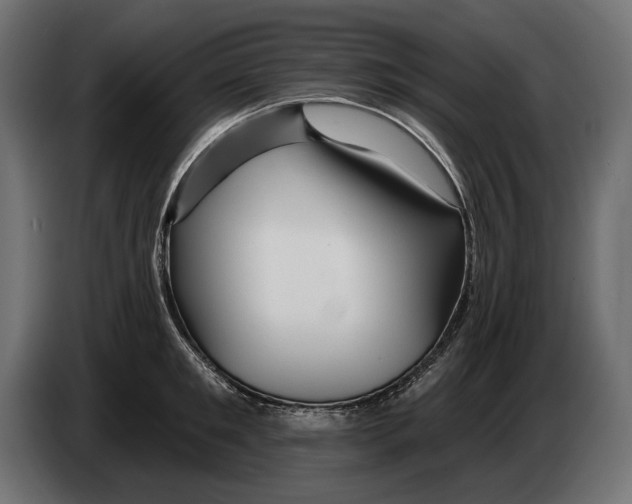 X0000082930901200703020103