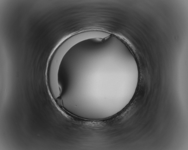 X0000082930902200703020103
